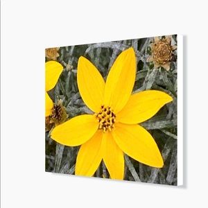 Meet your Posher, Fabiola